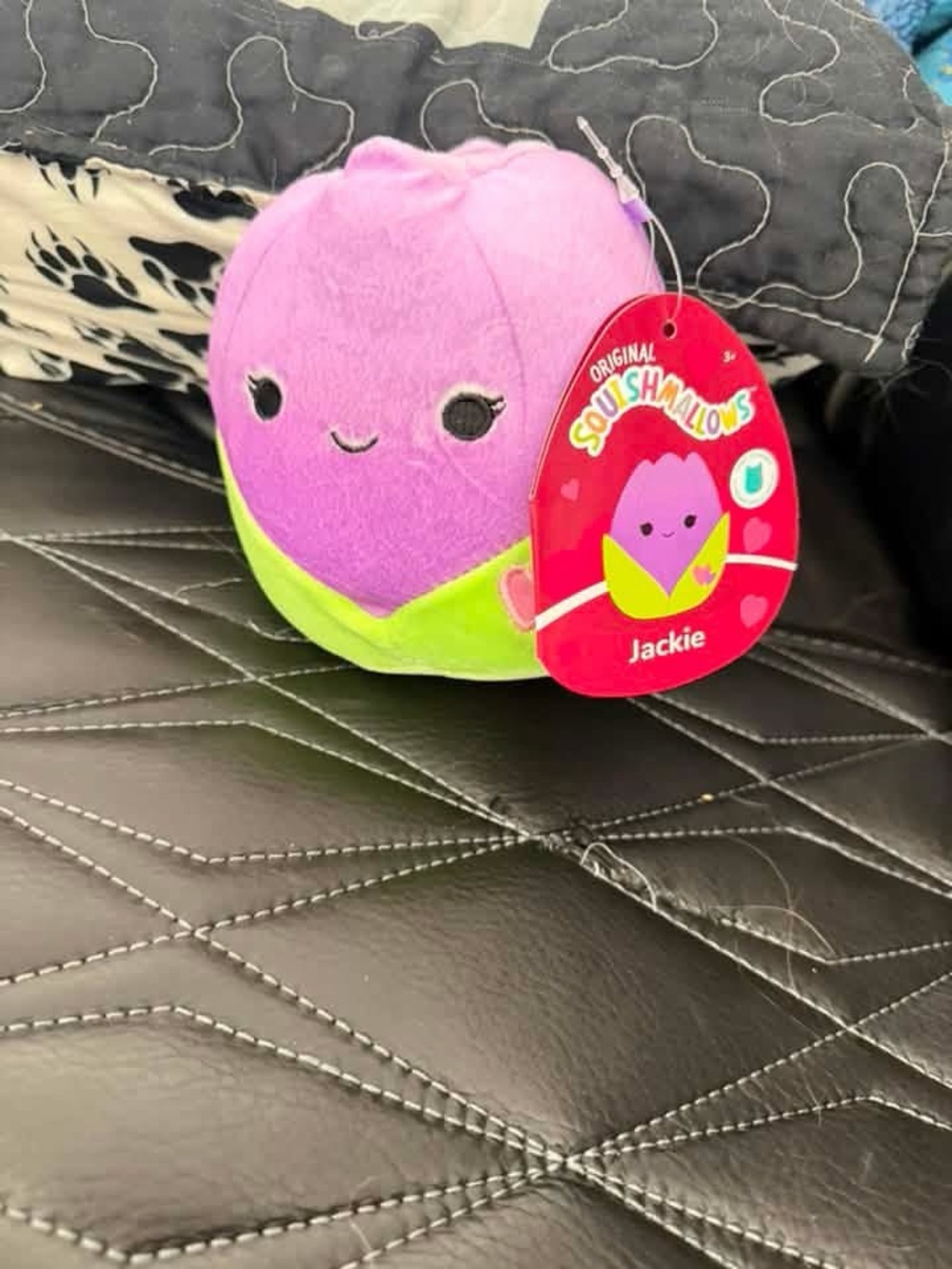 Valentines Exclusive Squishmallow